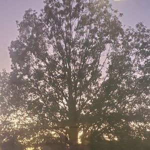 Meet your Posher, Kaylee